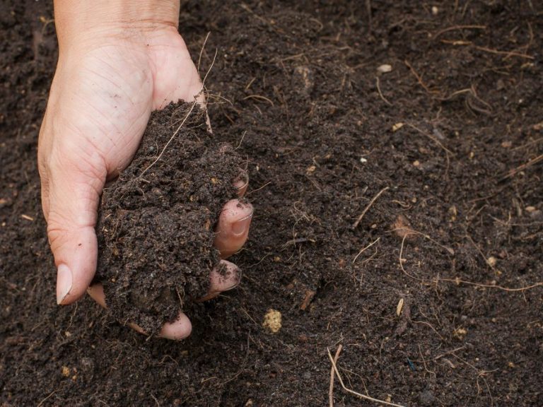 Soil types to look out for when buying Land