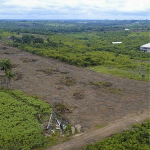 How to buy land in Lagos