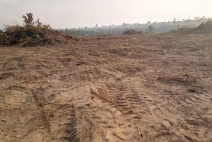 excision of land in Lagos state