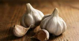 Garlic